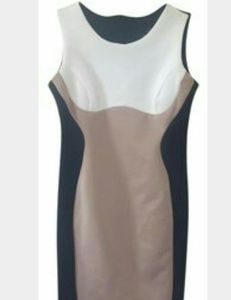 Beautiful BRAND NEW Ronni Nicole Dress.