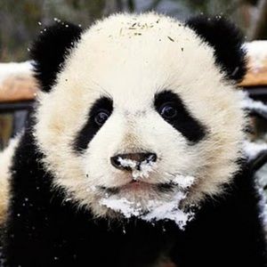 Meet your Posher, Briana