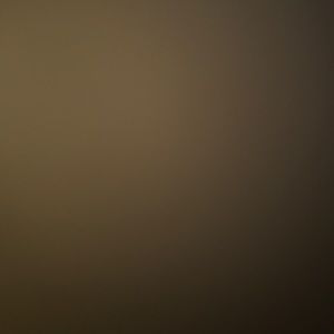 Meet your Posher, Judy