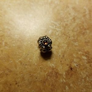 Pandora charm