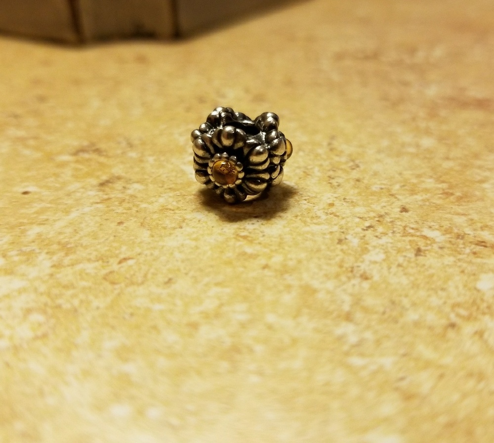 Pandora charm