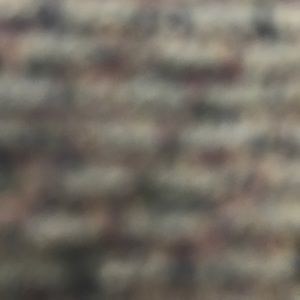 Meet your Posher, Eunice