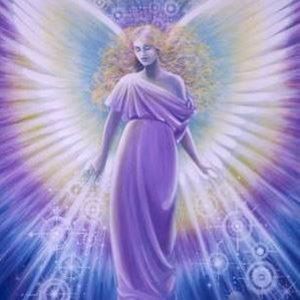 Meet your Posher, Rita