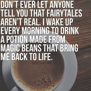 Meet your Posher, Stephanis