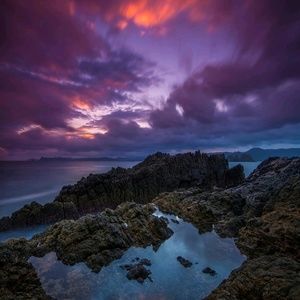 Meet your Posher, Riley