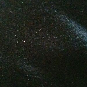 Meet your Posher, Lupe