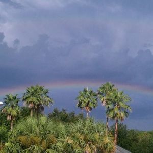 Meet your Posher, Shirley