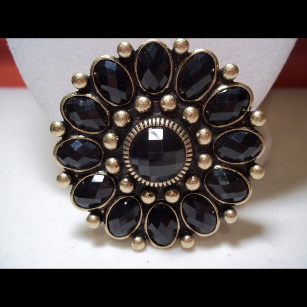 FRANCY Premier Designs Pin/Enhancer/Brooch
