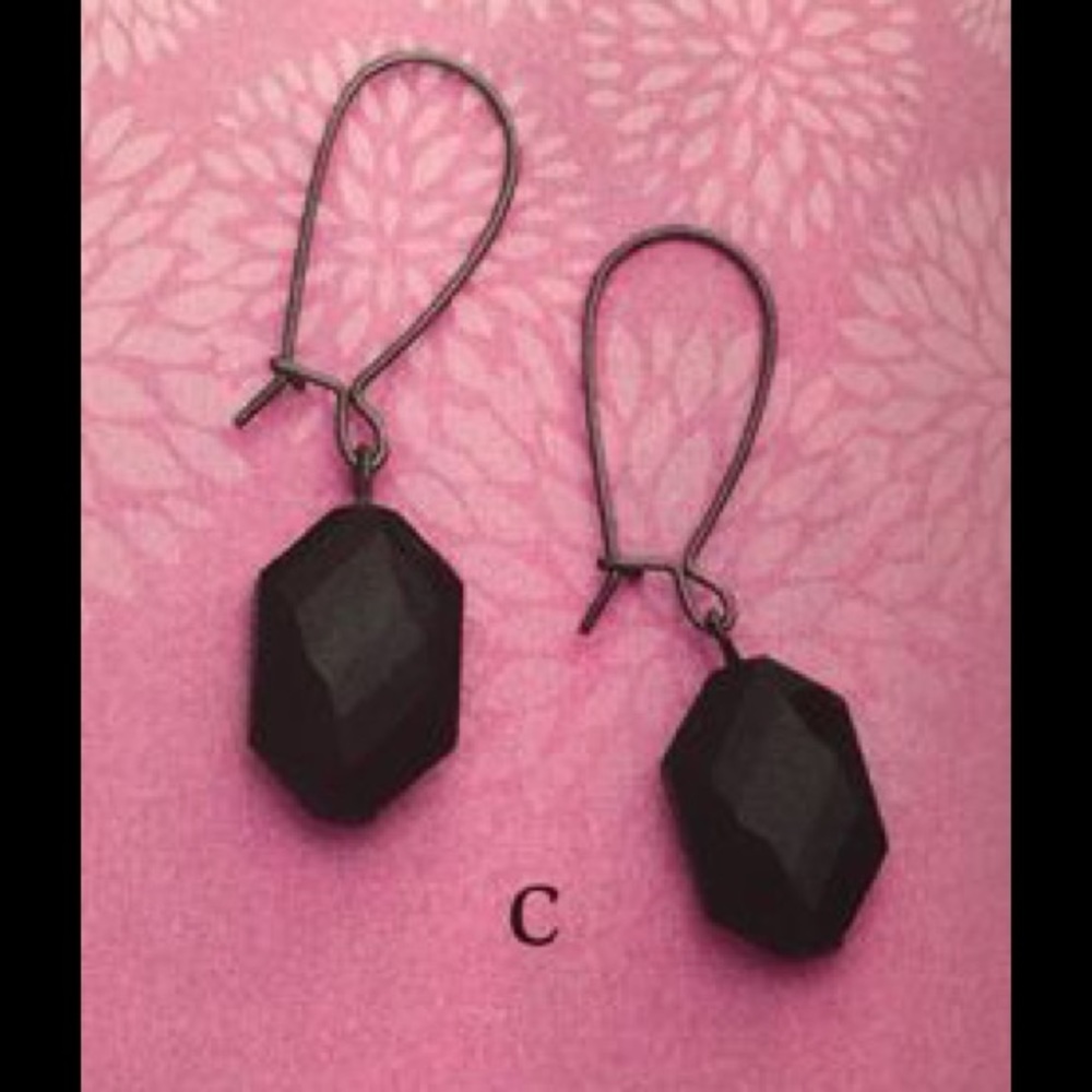 JET Retired Premier Designs Earrings