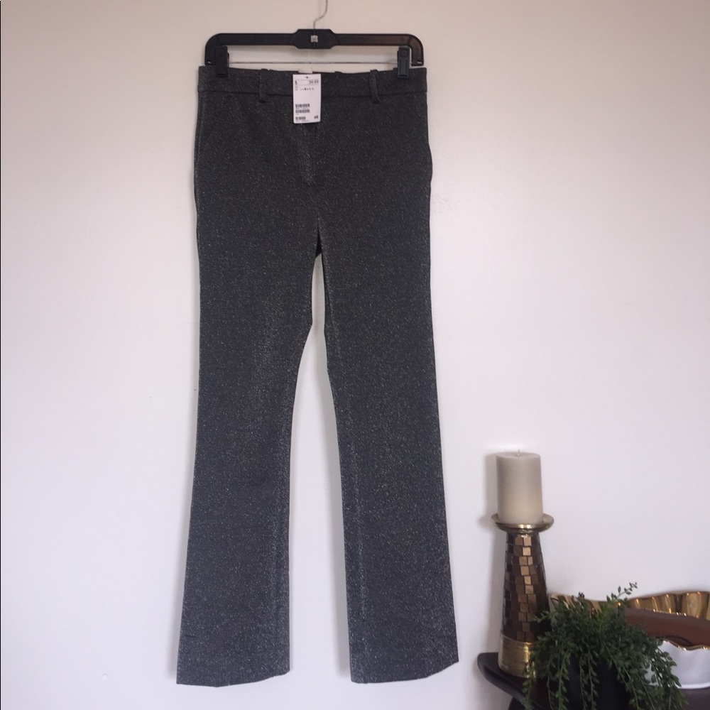 Form Fitting Metallic Pants