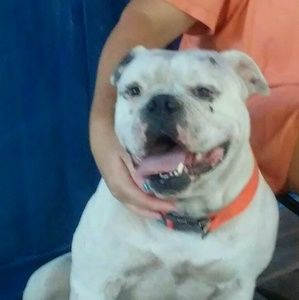 Meet your Posher, Deanna