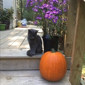 Meet your Posher, Anna