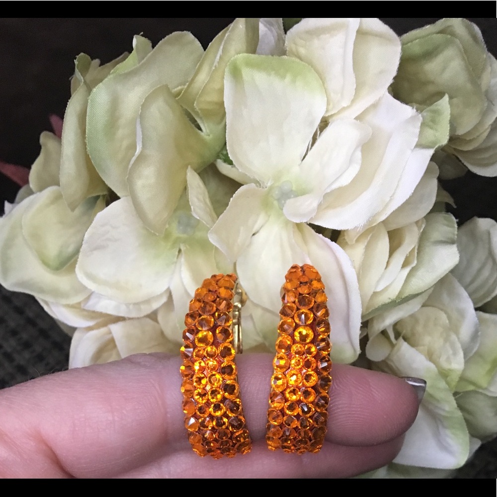 Jimmy Crystal Earrings