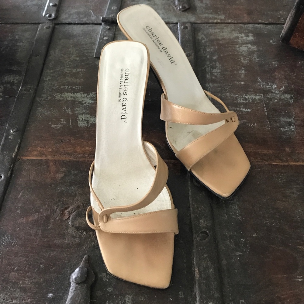 Charles David Strappy Sandals by Nathalie M Sz 8