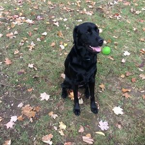 Meet your Posher, Kristen