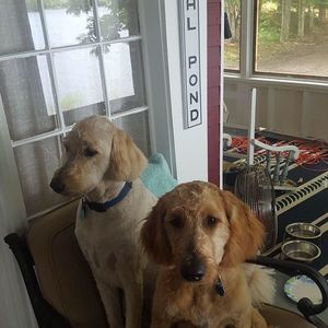 Meet your Posher, Michelle