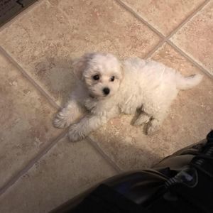 Meet your Posher, Gina