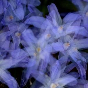 Meet your Posher, Wei