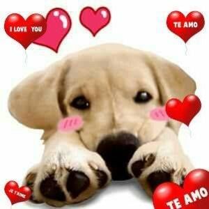 Meet your Posher, Yvette