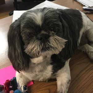 Meet your Posher, Cheryl