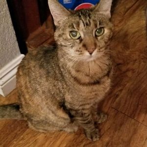 Meet your Posher, Lori