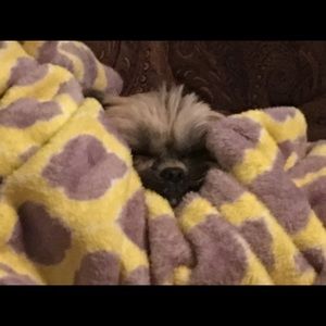 Meet your Posher, Dustin