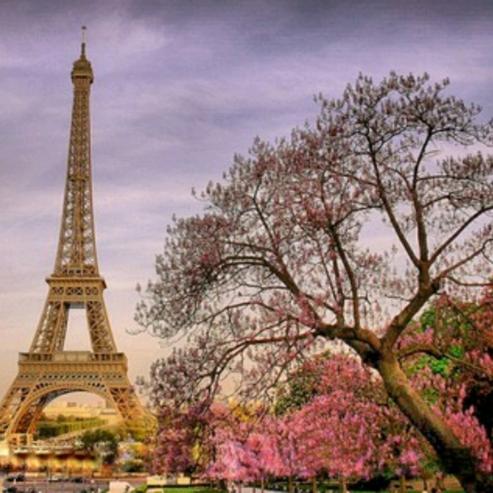 Meet your Posher, Jen