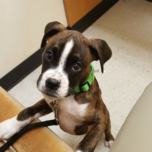 Meet your Posher, Jeff