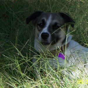 Meet your Posher, Jane