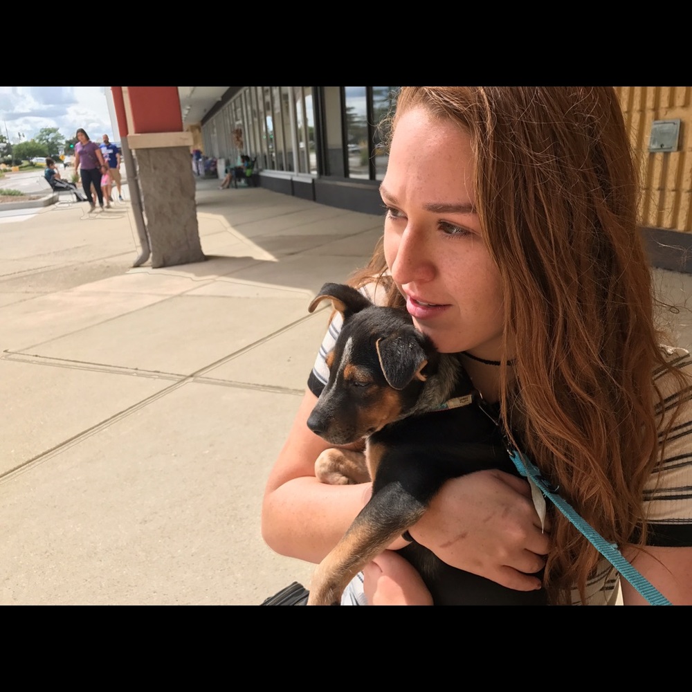 Meet your Posher, Luz