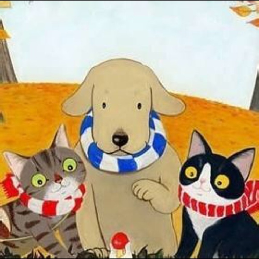 Meet your Posher, Huixin