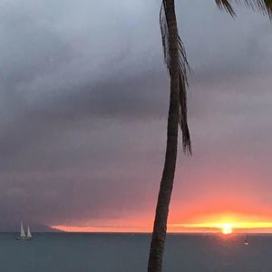 Meet your Posher, Kurtis