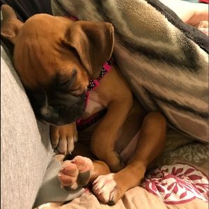 Meet your Posher, Ann marie