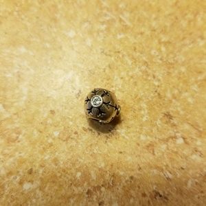 Pandora charm