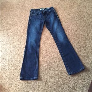 Daytrip Virgo Bootcut