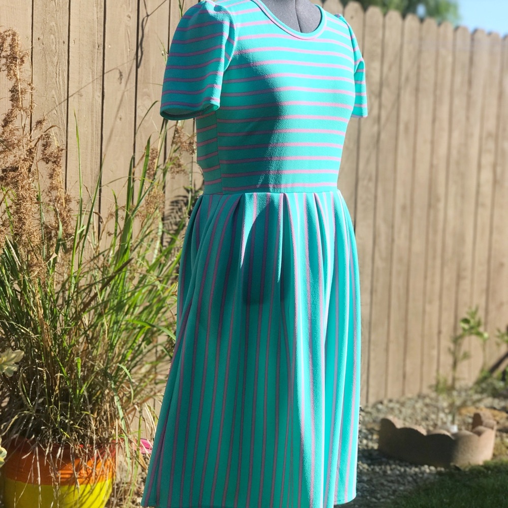 Lularoe Amelia!