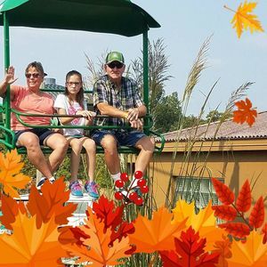 Meet your Posher, Rose