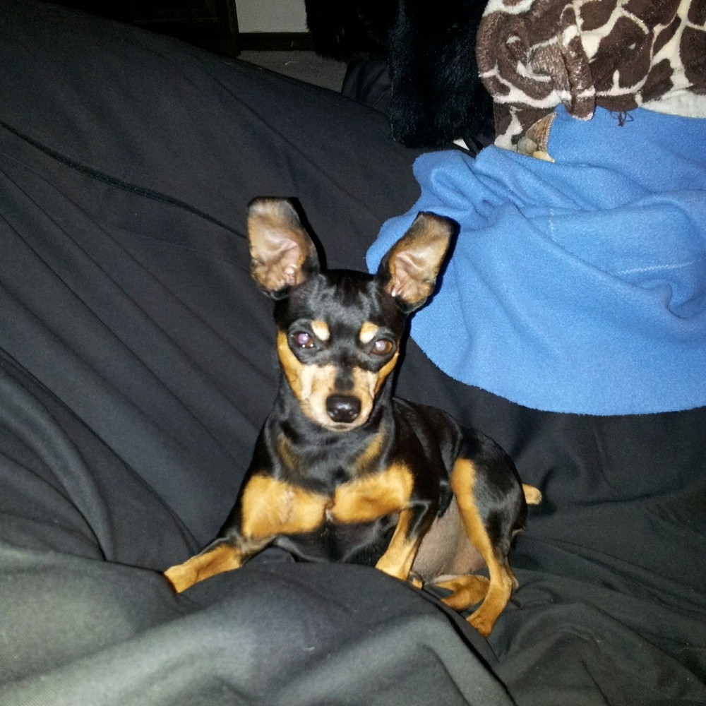 Meet your Posher, Alyssa