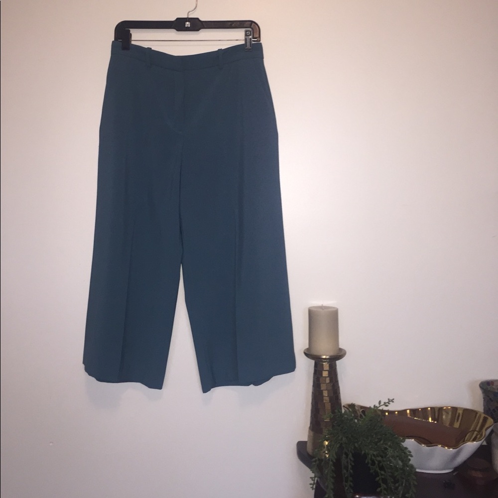 Zara cropped wide leg pants