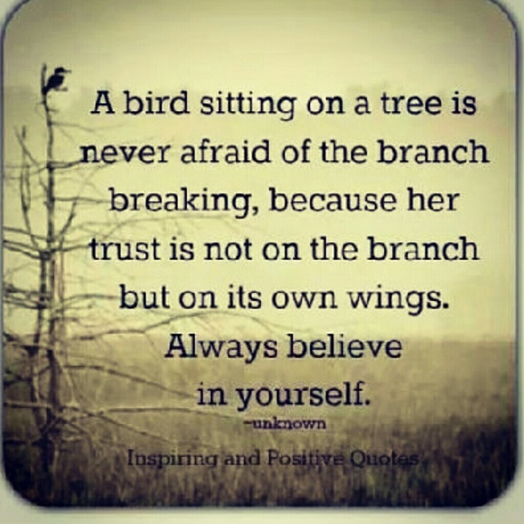 Meet your Posher, Judy - Picture 5 of 5