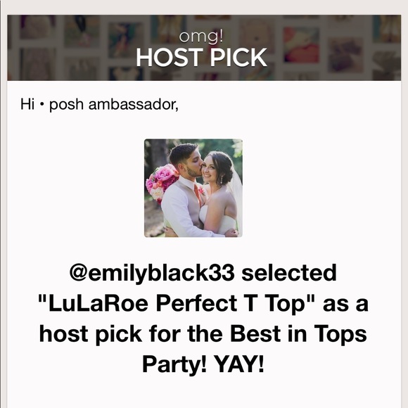 🎉HP🎉 LuLaRoe Perfect T Top - Picture 6 of 6