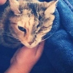 Meet your Posher, Marc