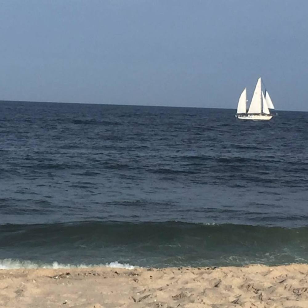 Meet your Posher, Anne