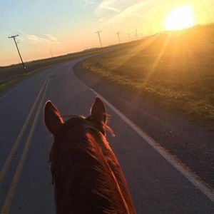 Meet your Posher, Camille