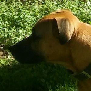 Meet your Posher, Mallory