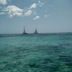 Meet your Posher, Maggie