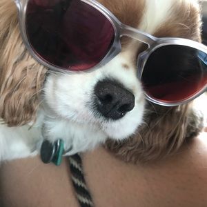 Meet your Posher, Grace