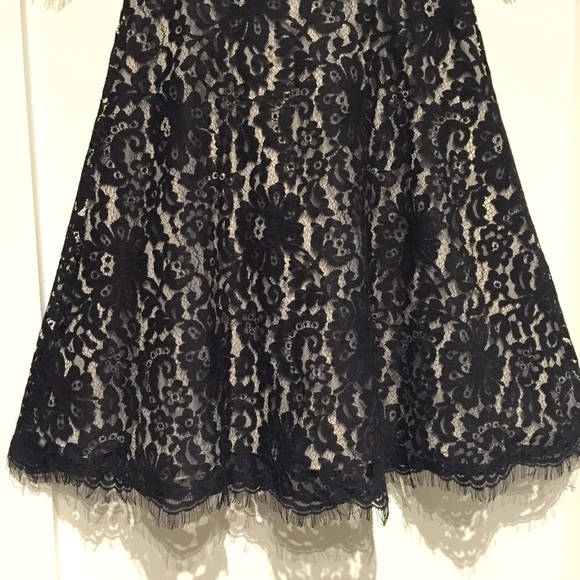Banana Republic Fit and Flare Lace Dress - Picture 4 of 8