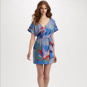 Leifsdottir Firefly Kimono Dress