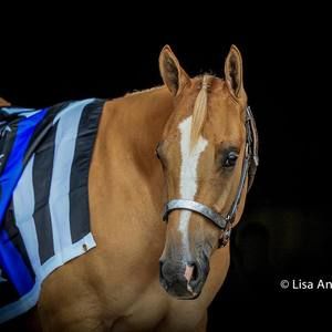 Meet your Posher, Jesse